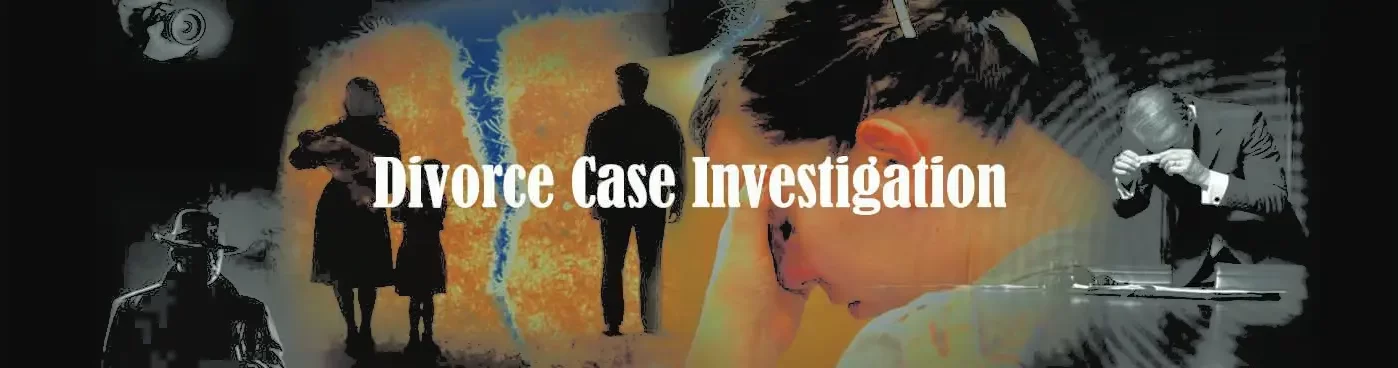 Divorce case Investigation