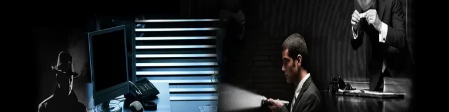 Searching Detectives team.